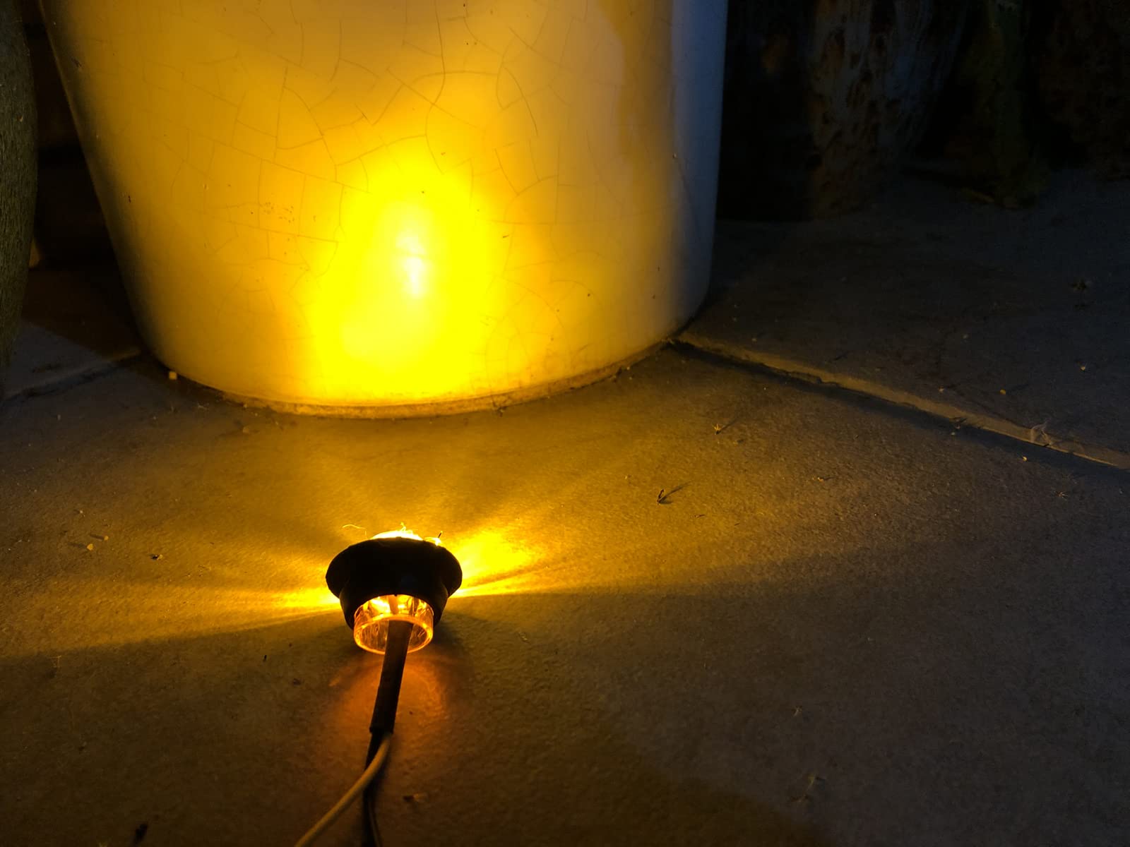 50Pcs Amber 3-LED 12V 3/4