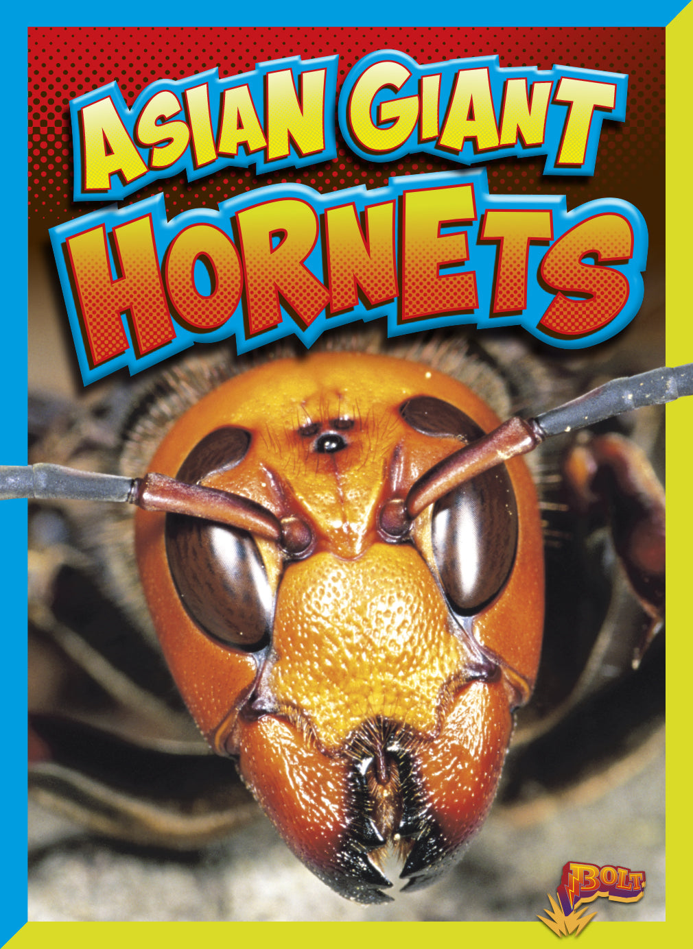 Asian Giant Hornets - Vespa Mandarinia - Largest Hornet Species for Pest Control & Research | Ideal for Entomology Study & Insect Collection