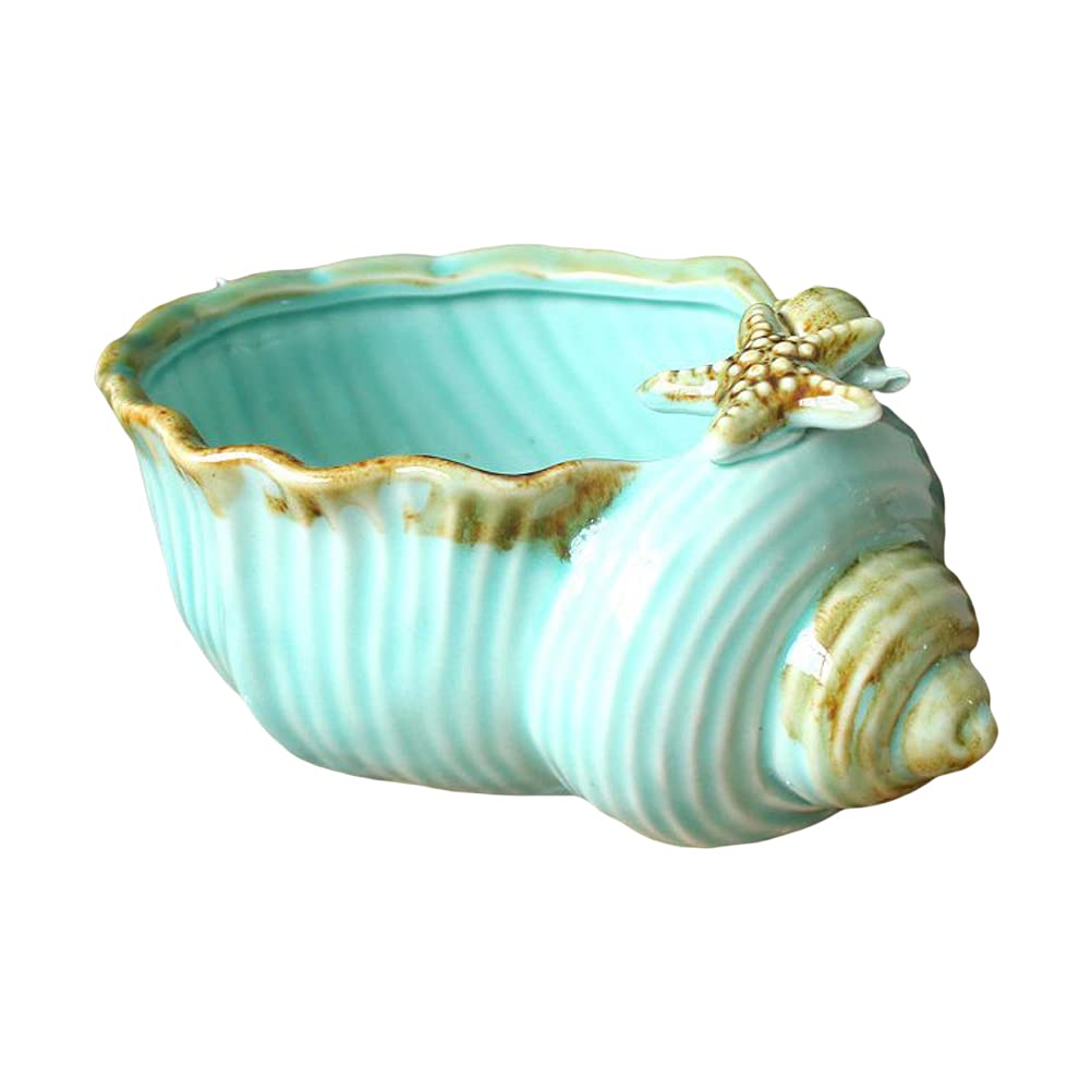 BESPORTBLE Creative Ceramic Conch Pot - Elegant Flower Planter for Indoor Plants, Bonsai, Succulents - Perfect for Home Decor, Office Desk & Gardening Gifts