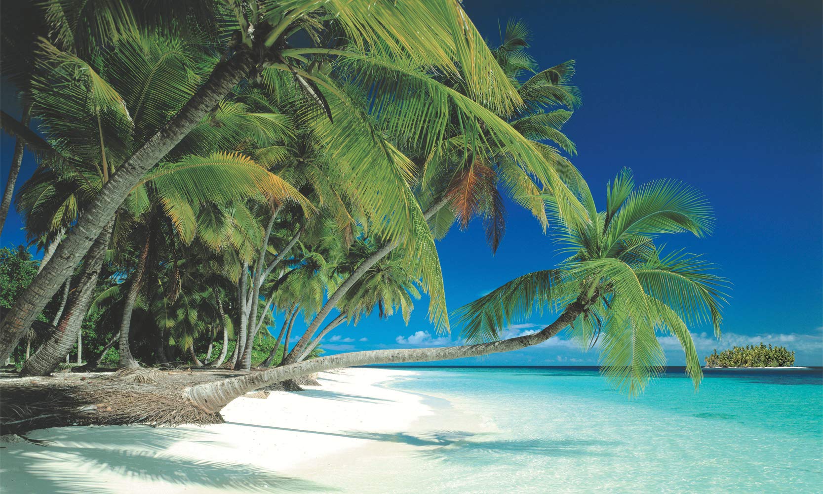 Biggies Wall Murals - Beach Scenery 120x60 Inches - Perfect for Living Room, Bedroom, and Office Decor