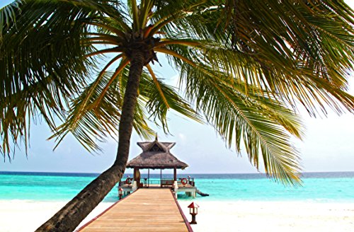 Beach N112