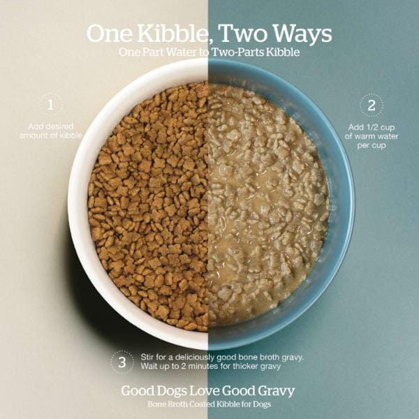 Now Fresh Good Gravy Salmon Recipe Small Breed Adult Dry Dog Food - Premium Grain-Free Salmon Dog Food for Small Dogs, High Protein & Omega-3 for Healthy Skin & Coat - Perfect for Indoor & Active Small Breed Adult Dogs