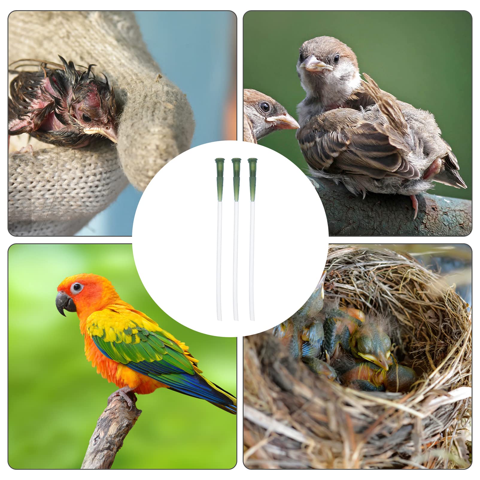 3pcs Plastic Bird Feeding Hose Kit - Durable Bird Feeder Accessories for Medicine Supply & Watering - Perfect for Aviaries, Pet Birds & Wild Bird Care