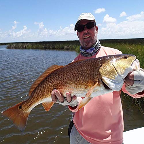 Premium Fitzgerald Aqua Dream Series Spinning Fishing Rods 7'2