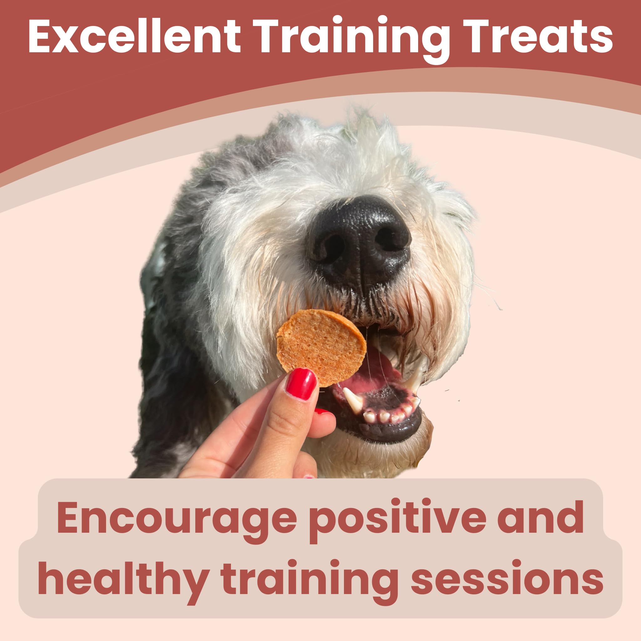 Farm To Pet All Natural Turkey Dog Training Treats - Single Ingredient Crunchy Turkey Chips, Easy to Digest, Chicken Allergy Friendly, Made in USA | Perfect for Obedience Training & Positive Reinforcement