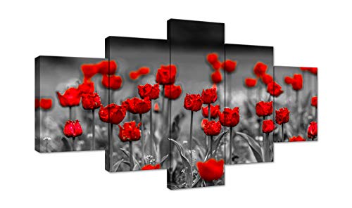 Red Flower-01