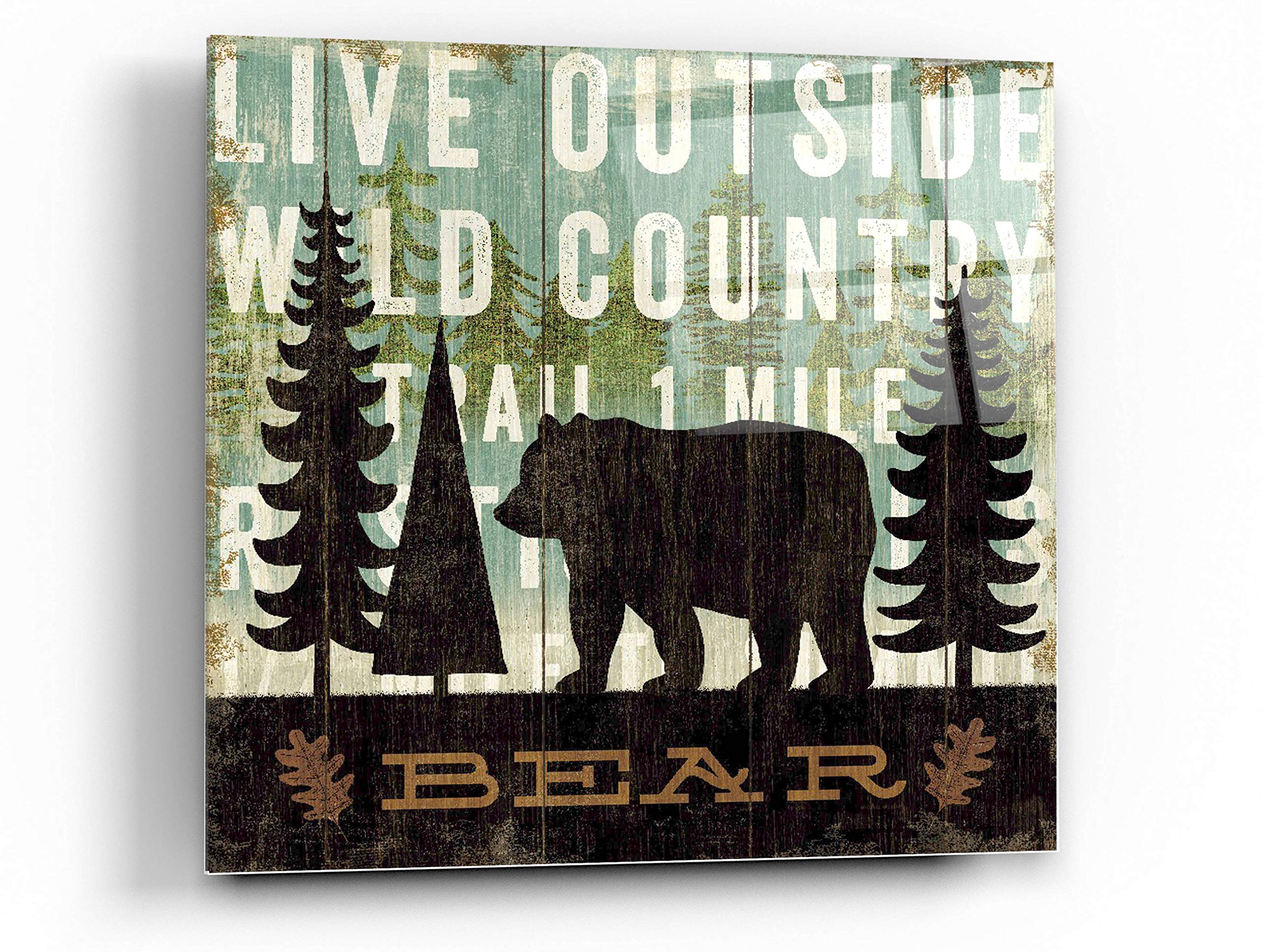 Simple Living Bear Acrylic Glass Wall Art by Michael Mullan - 36x36 Inches Modern Home Decor for Living Room, Bedroom & Office