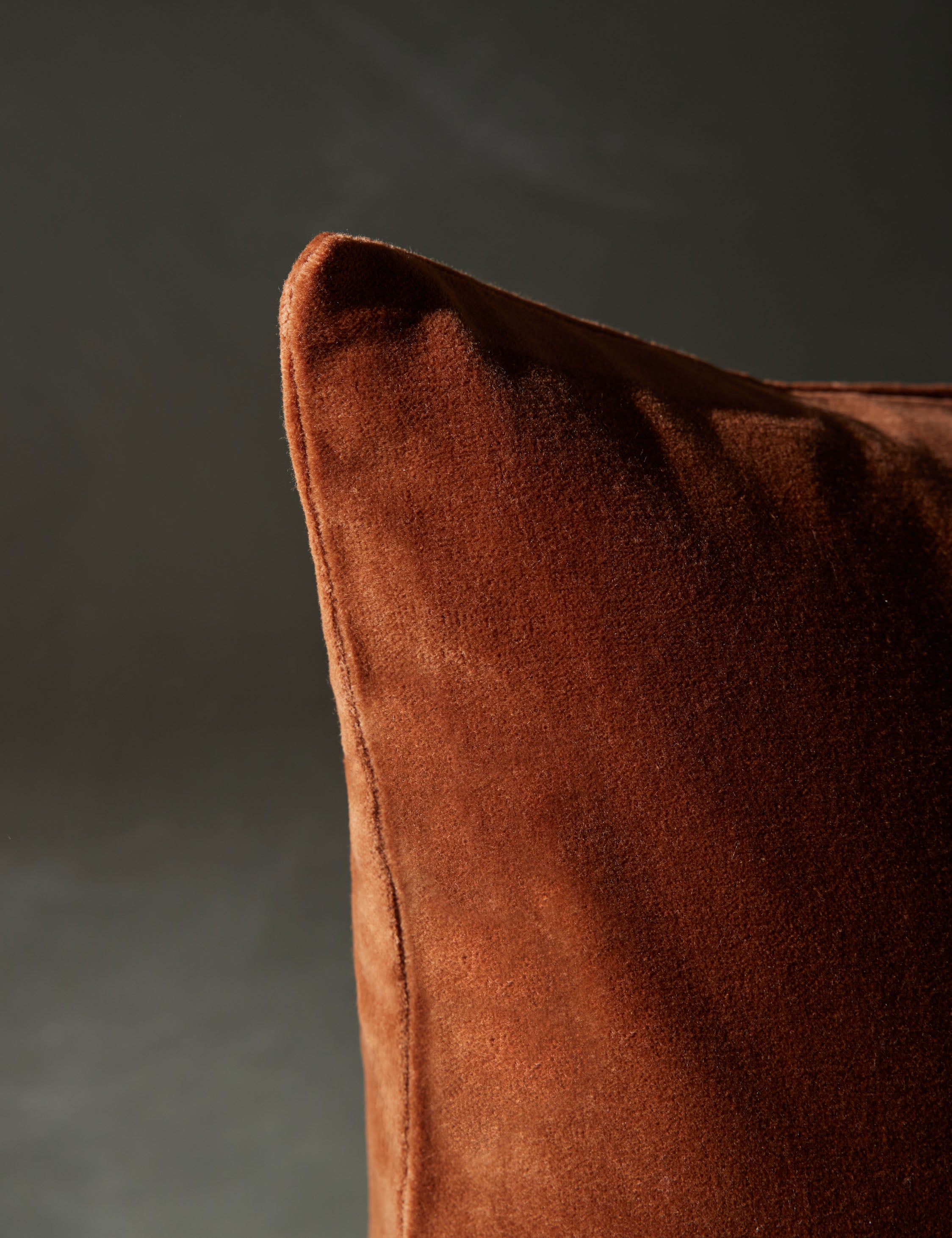 Luxury Velvet Pillow for Sofa & Bed - Soft Caddie Pillow for Home Decor, Living Room, Bedroom - Perfect for Relaxing, Reading & Enhancing Comfort