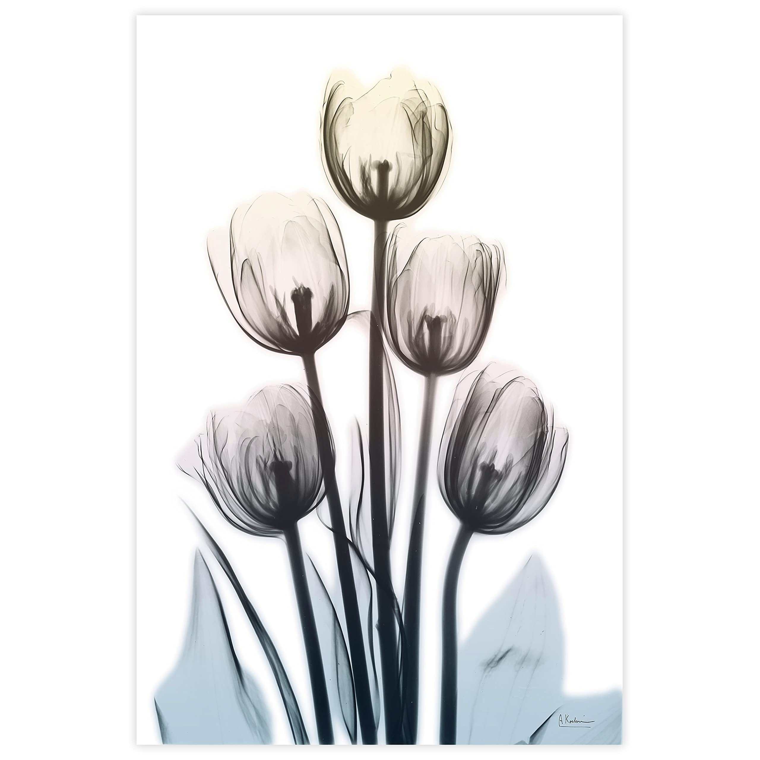 Empire Art Direct 48x32 Inch Frameless Tempered Glass Wall Art - Spring Tulips Floral Photography Print for Living Room, Bedroom & Home Office Decor | Ready to Hang Modern Wall Decor for Housewarming & Interior Design