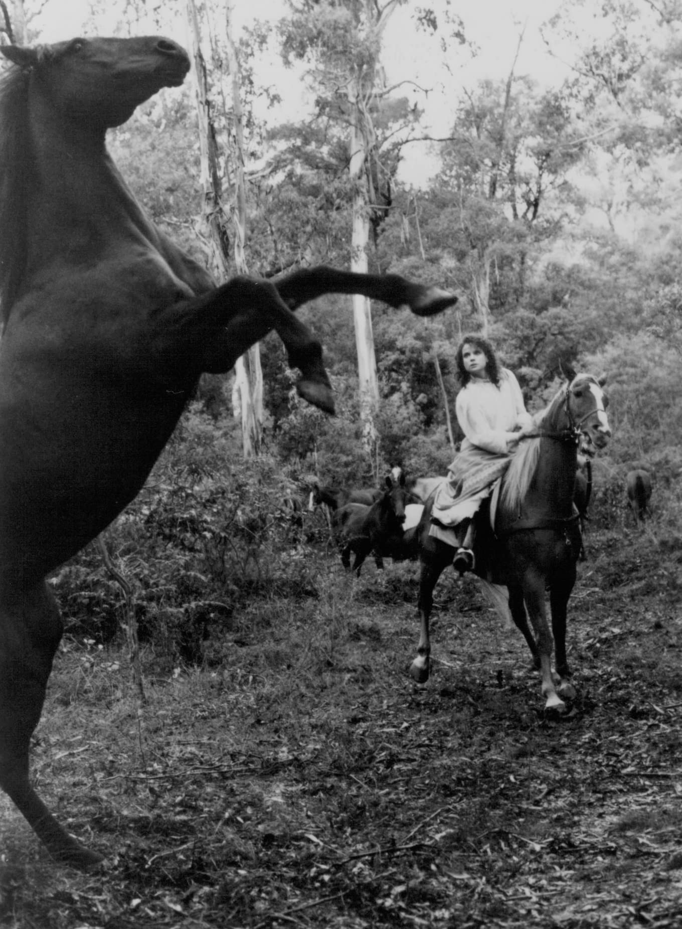 The Man from Snowy River II - Classic Australian Western Adventure Movie | Perfect for Family Movie Nights & Western Film Enthusiasts