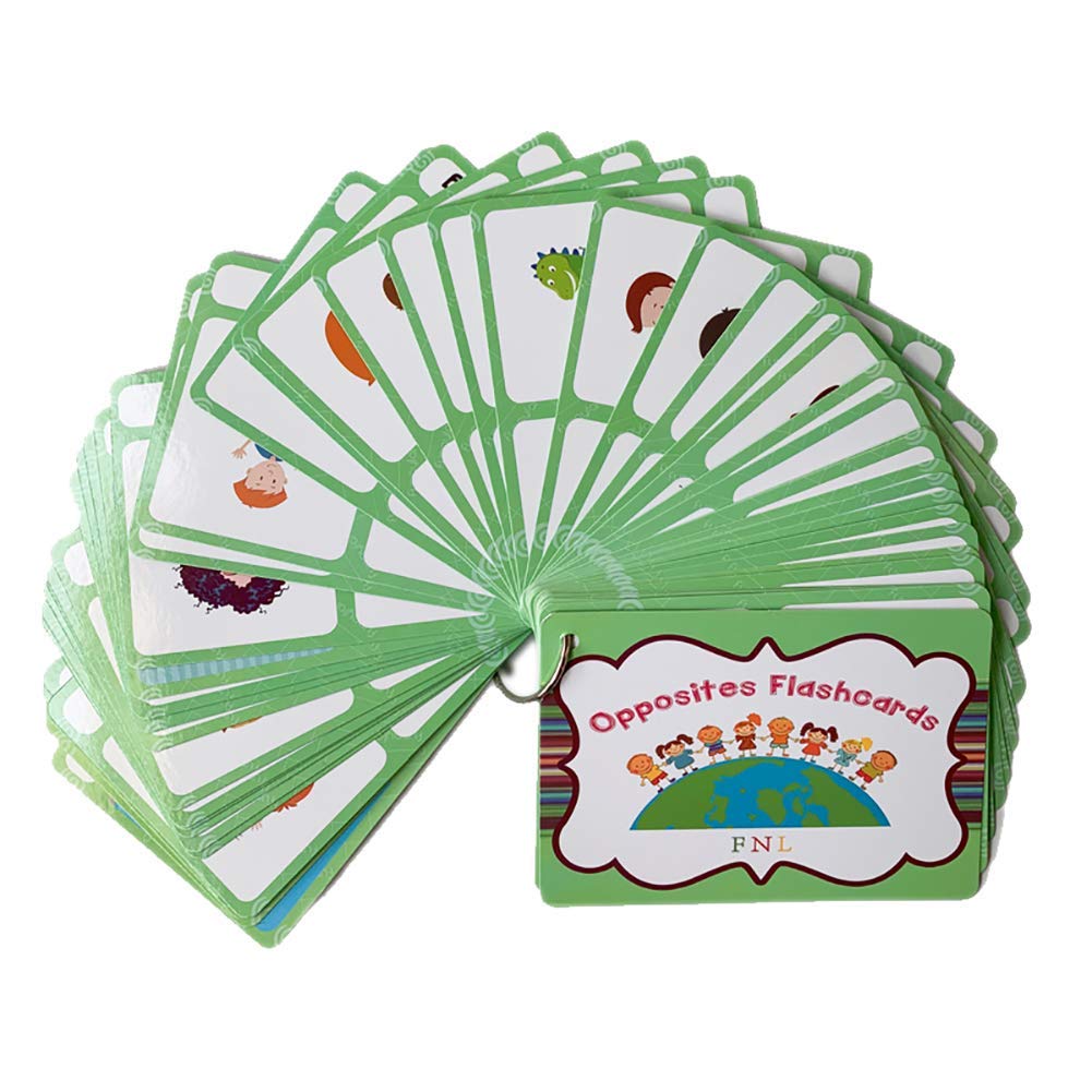 Richardy 100 Groups English Antonyms Flashcards - Vocabulary Building Pocket Cards for Kids | Educational Learning Toys for Preschool & Kindergarten | Perfect for Classroom, Homeschool & Travel Use