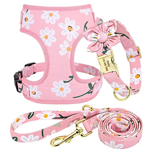 Pink-1