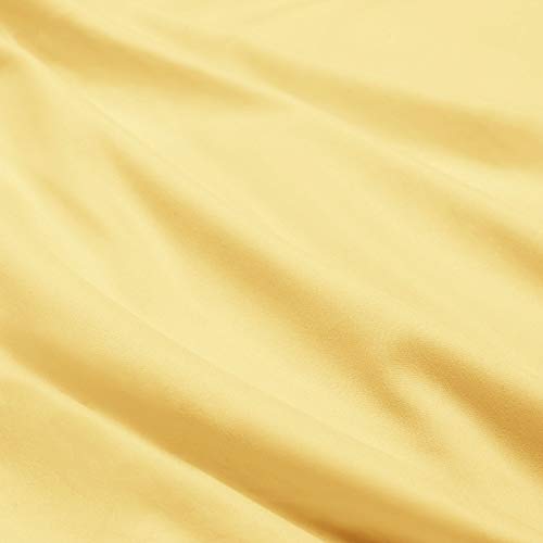Custard Mallow Yellow