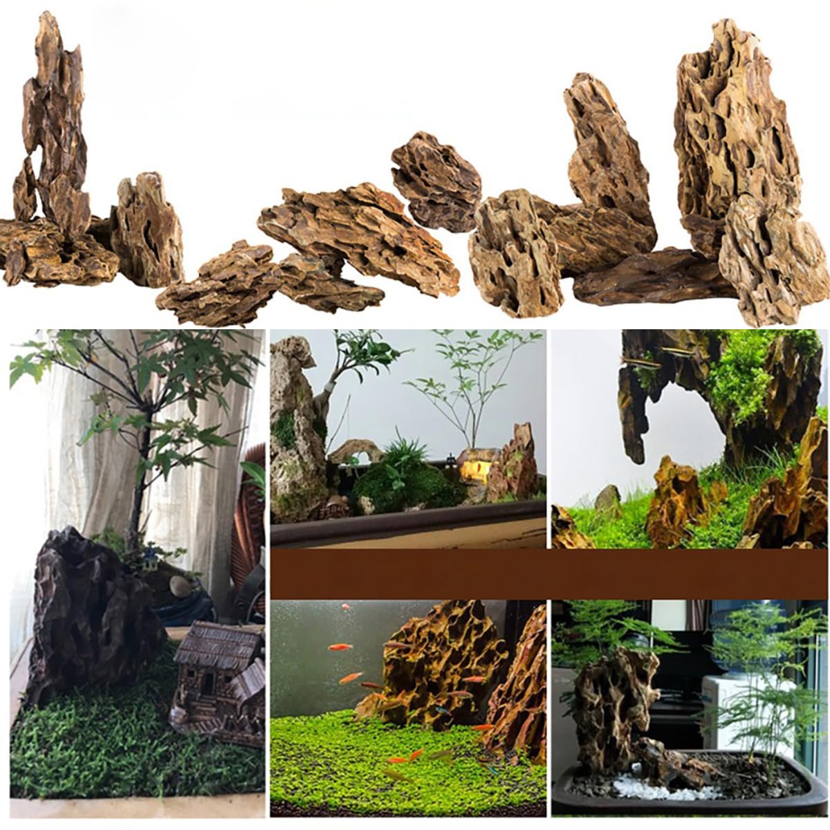 Natural Dragon Stone Aquarium Rocks - 10lb Mixed Sizes for Aquascaping, Fish Tank Decoration & Micro Landscapes | Perfect for Freshwater Shrimp Tanks, Betta Habitats & Zen Water Features