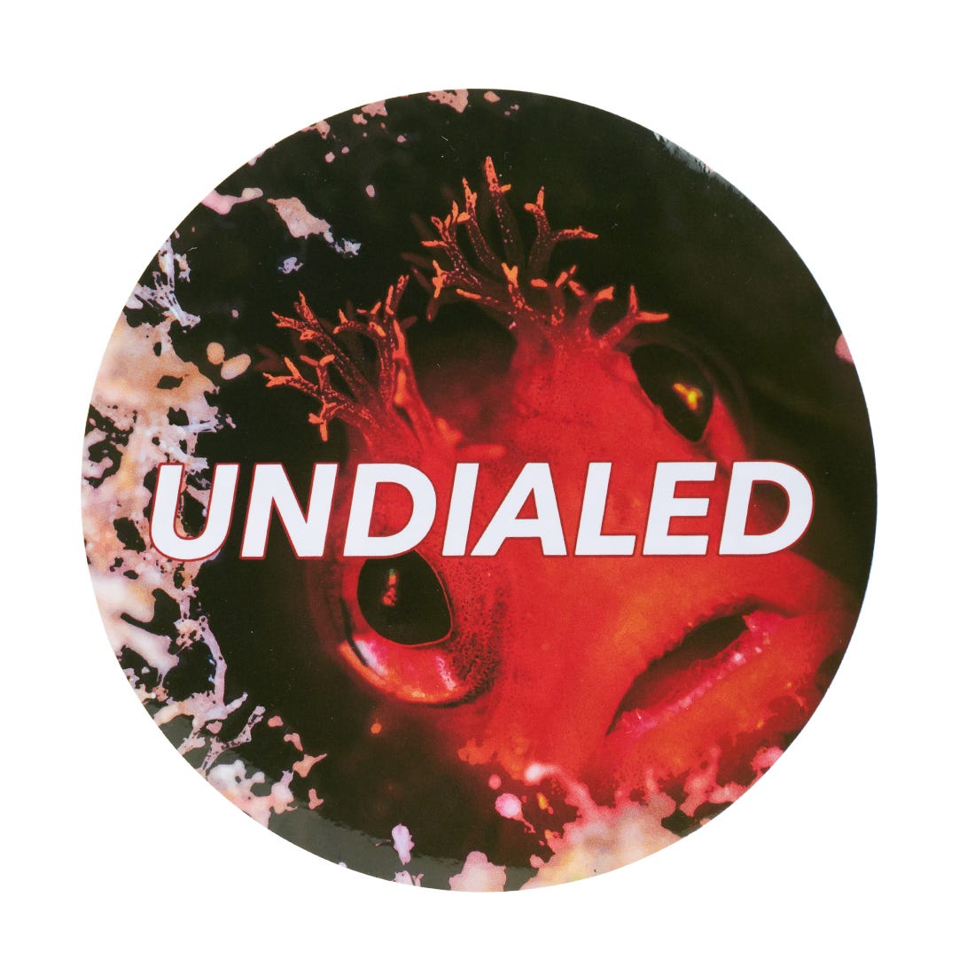 Undialed Circle Sticker - Waterproof Vinyl Decals for DIY Crafts, Car Windows, Laptop Decor | Perfect for Scrapbooking, Home Decor & Party Supplies