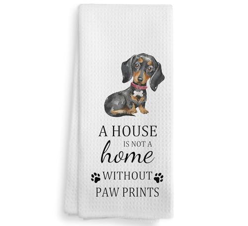 Dachshund-2