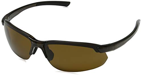 Brown / Polarized Brown