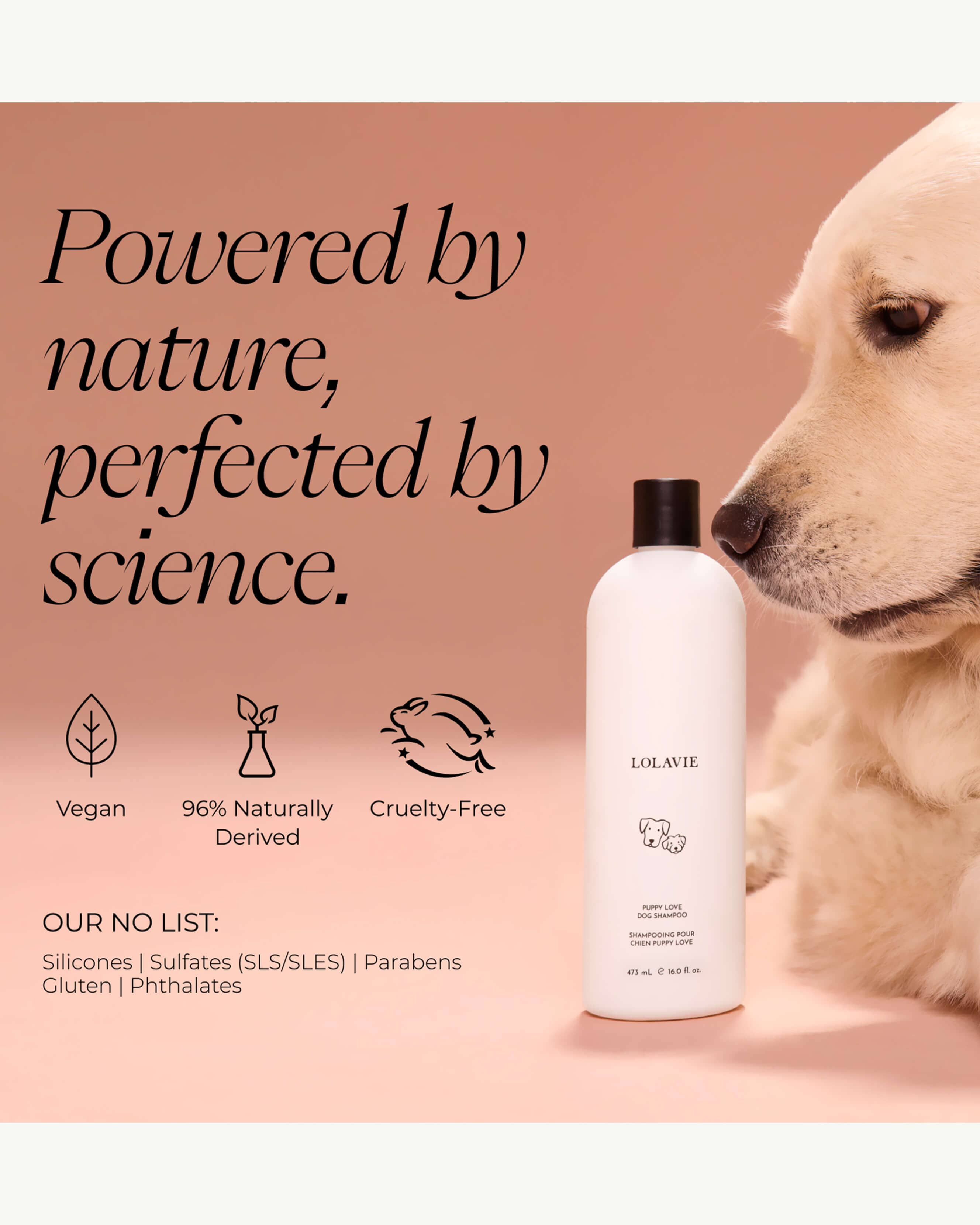 Puppy Love Dog Shampoo - Gentle Puppy Shampoo for Sensitive Skin | Hypoallergenic & Tear-Free Formula | Perfect for Bath Time & Grooming