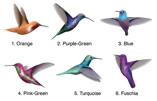 Beautiful Hummingbird Decals - Vibrant Waterproof Vinyl Stickers for Laptops, Phones, Cars & DIY Crafts - Perfect for Home Decor, Scrapbooking & Gift Giving