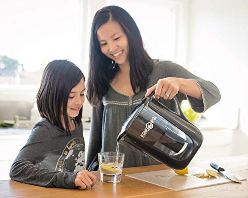 Pitcher Filter Replacement Cartridge (2 Pack) - Premium Water Filtration for Home & Office Use