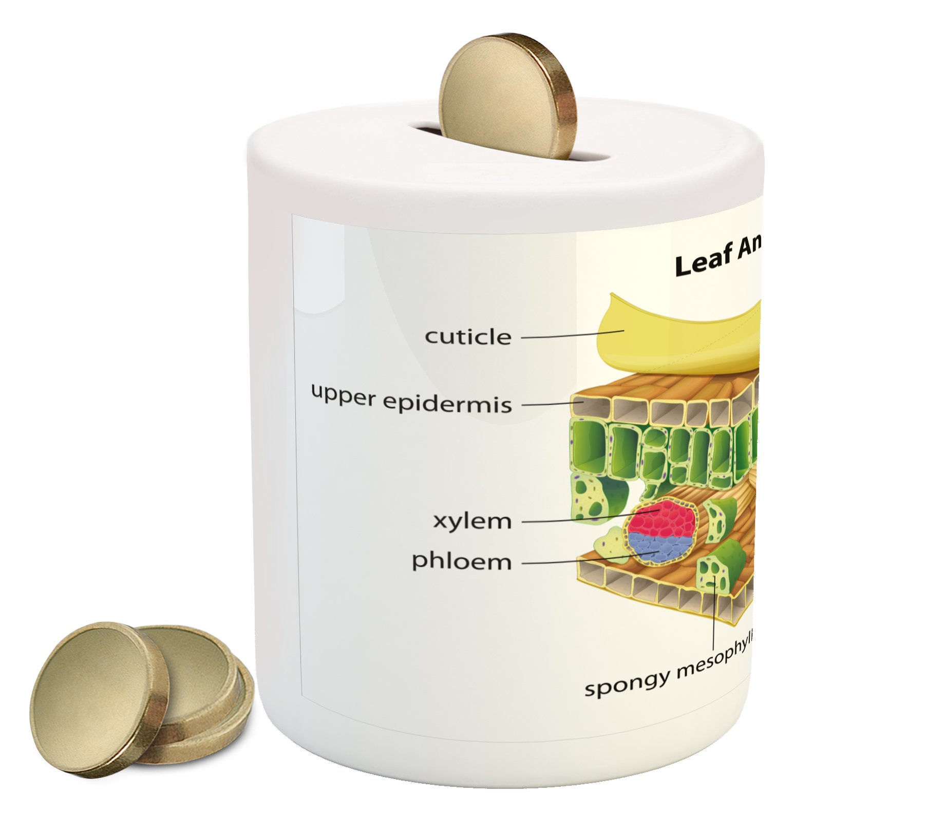 Ambesonne Ceramic Piggy Bank - Science Themed Anatomy of a Leaf Design with Microscopic Parts Labeling (Spongy, Stoma, Epidermis) - 3.6