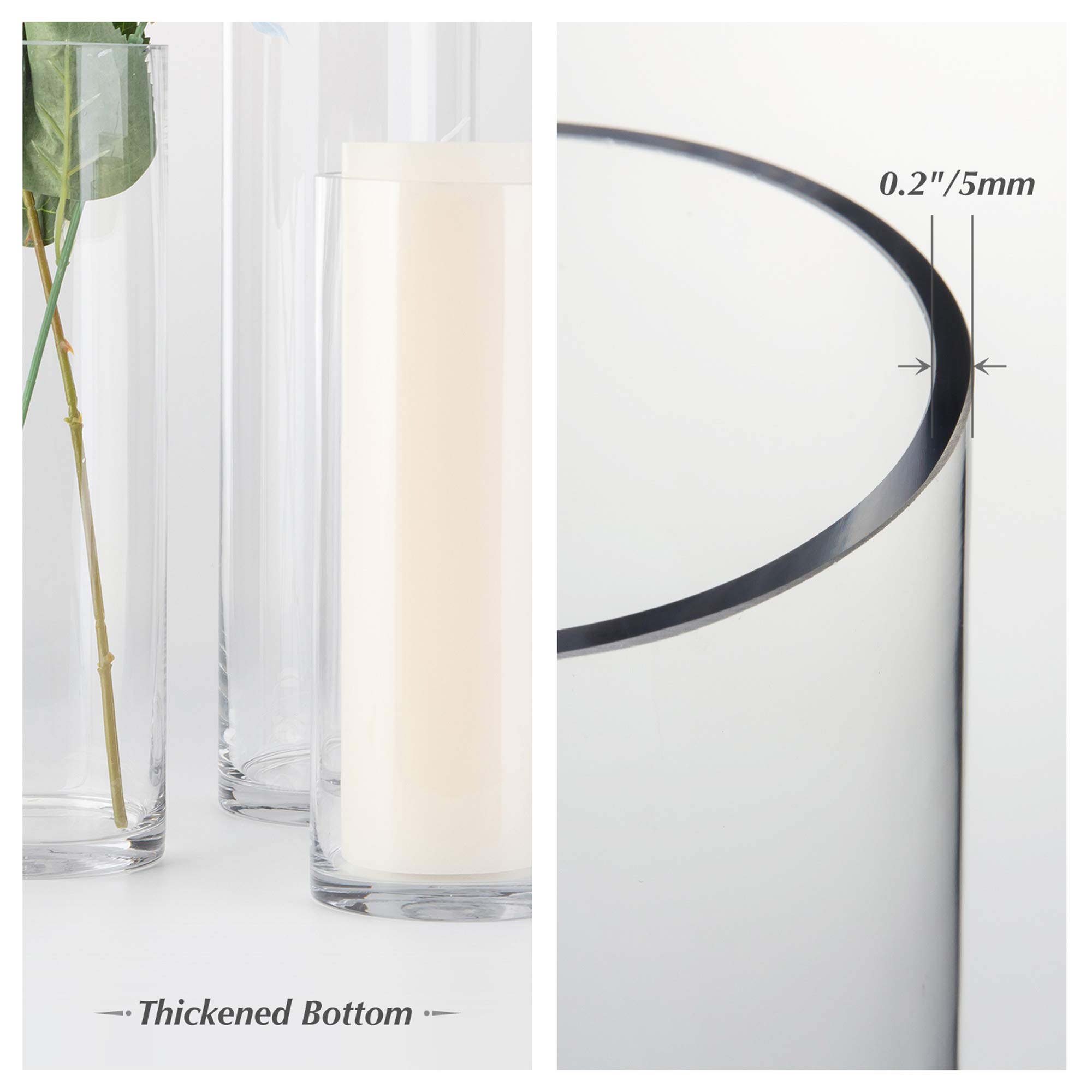 Premium Clear Cylinder Glass Vases - 3