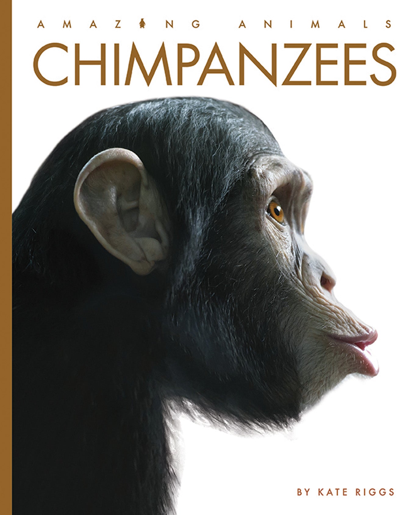 Chimpanzees Book - 9781640265098 | Wildlife & Nature Guide for Animal Lovers, Students & Researchers