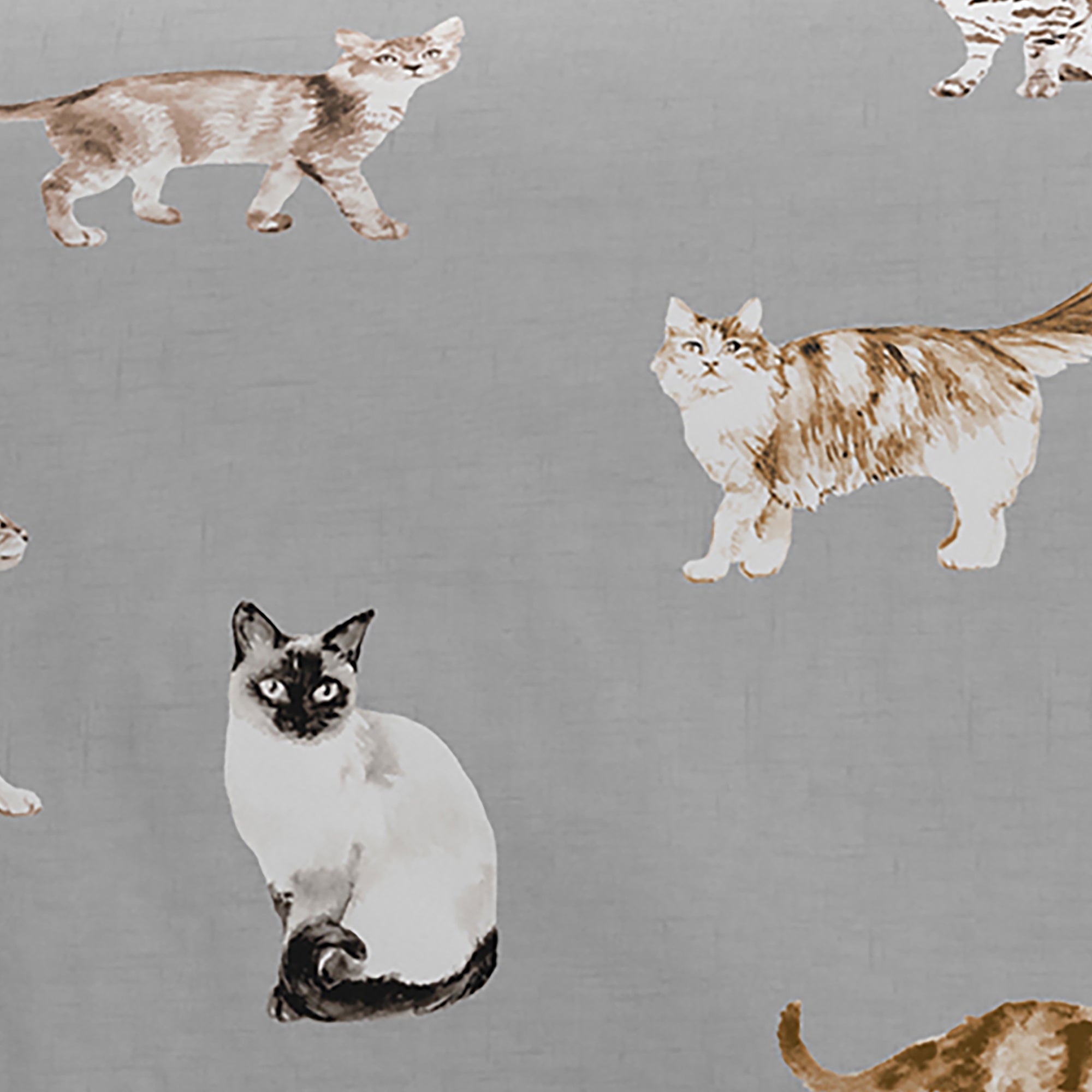 Fusion Cats Duvet Cover Set - Soft Grey Bedding for Cozy Nights | Perfect for Master Bedroom, Guest Room & Dorm Decor