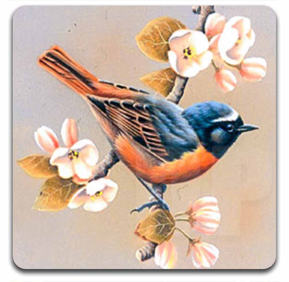 Eco-Friendly Artistic Bird Square Coaster Set - 4-Pack Polyester Fabric & Recycled Rubber Drink Coasters for Home, Office, and Party Decor