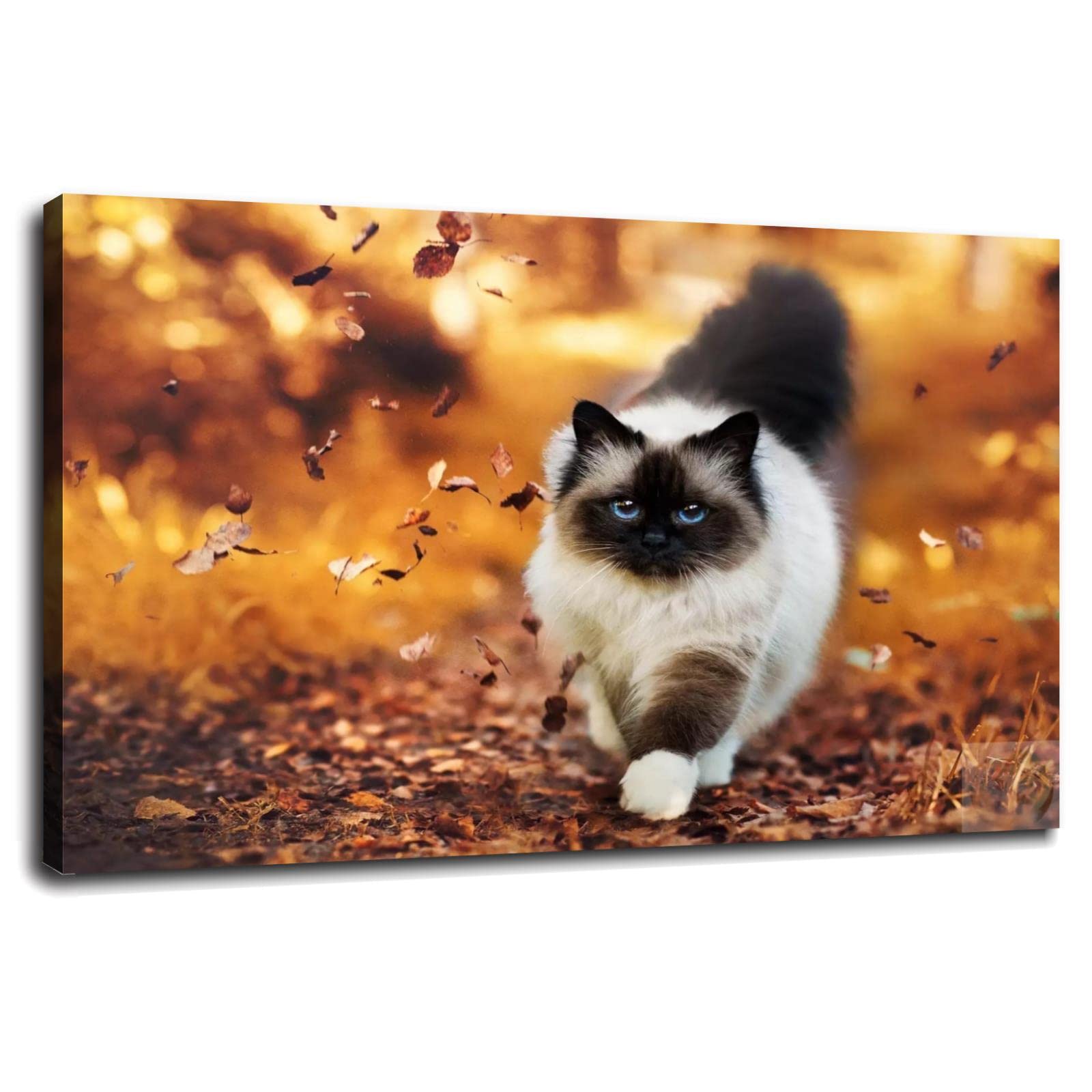 Premium Siam Cat Art Poster - Animal Picture Gift, Canvas Print Wall Art for Home & Office Decor - Framed 36x24 Inches - Perfect for Living Room, Bedroom & Workspace