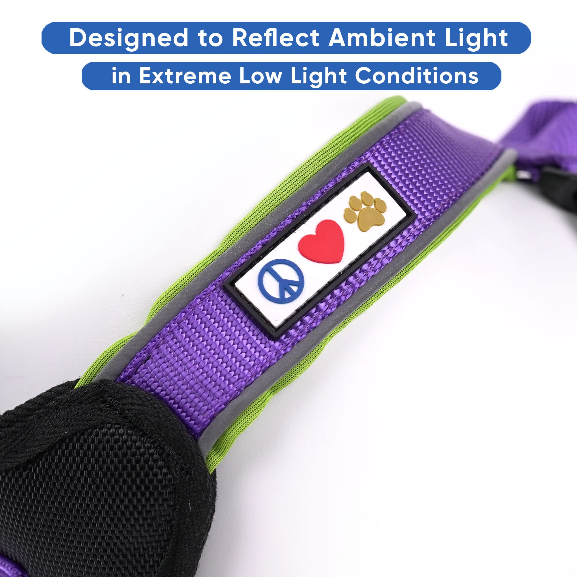 Pawtitas Small Dog Harness, Collar & Leash Set - Purple Padded Pet Walking Accessories for Small Breeds | Perfect for Daily Walks, Training & Outdoor Adventures