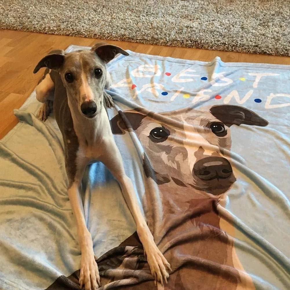 Custom Personalized Dog Portrait Throw Blanket - Photo Text Name Fleece Blanket for Pets | Unique Gift for Dog Lovers, Pet Owners, Family & Friends | Perfect for Birthdays, Anniversaries & Home Decor