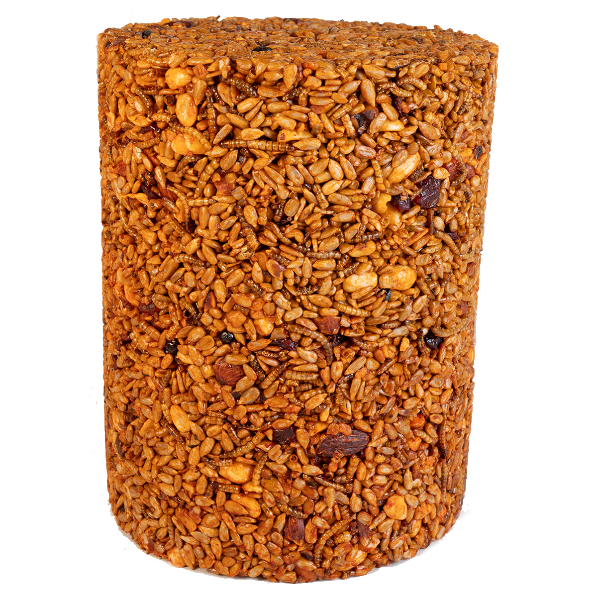 Premium Roasted Mixed Nuts & Dried Insects Snack - Large Cylinder Canister for Parties, Camping & Healthy Snacking