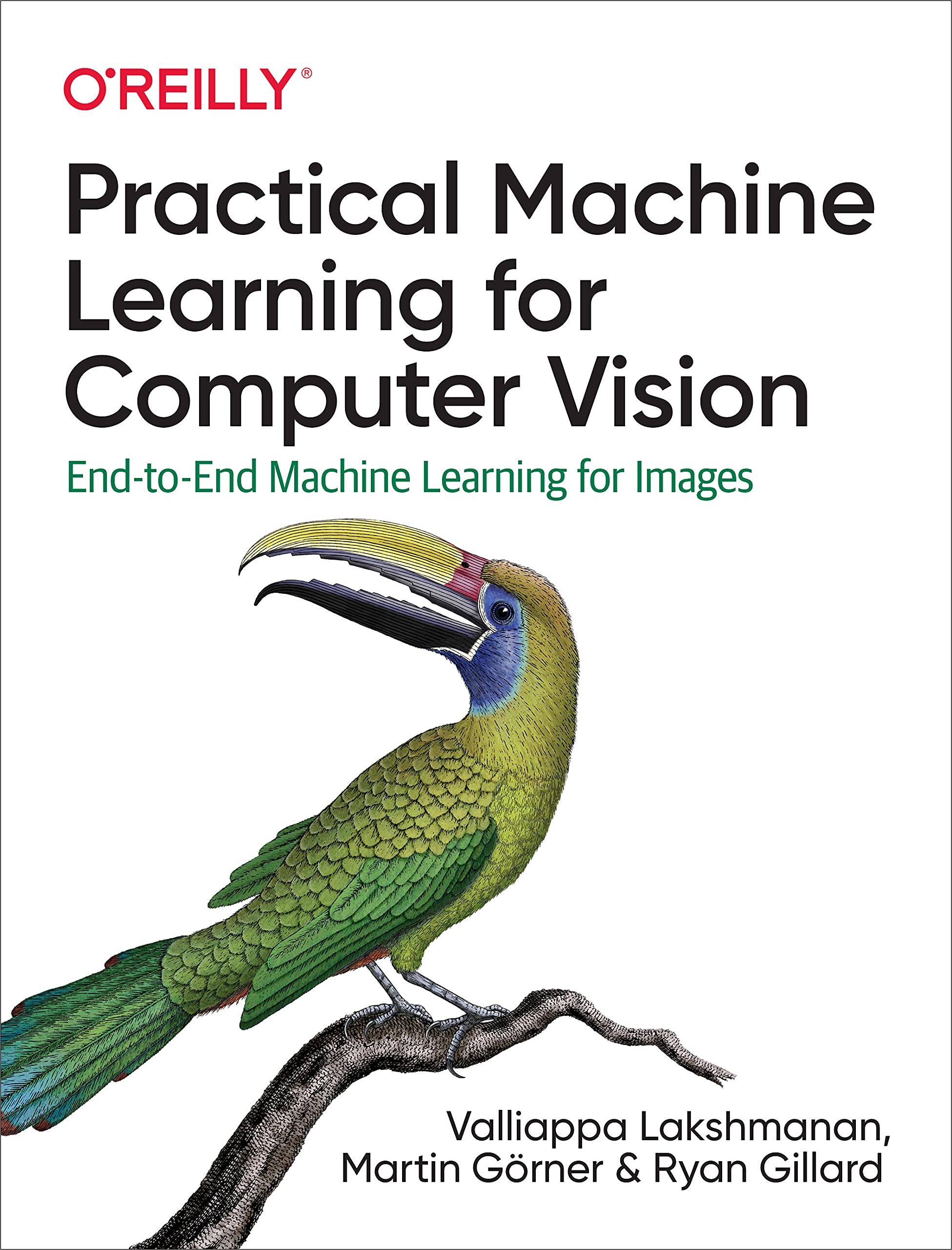 Practical Machine Learning for Computer Vision: End-to-End Image Processing Guide | AI & Deep Learning for Developers | Perfect for Image Recognition & Computer Vision Projects