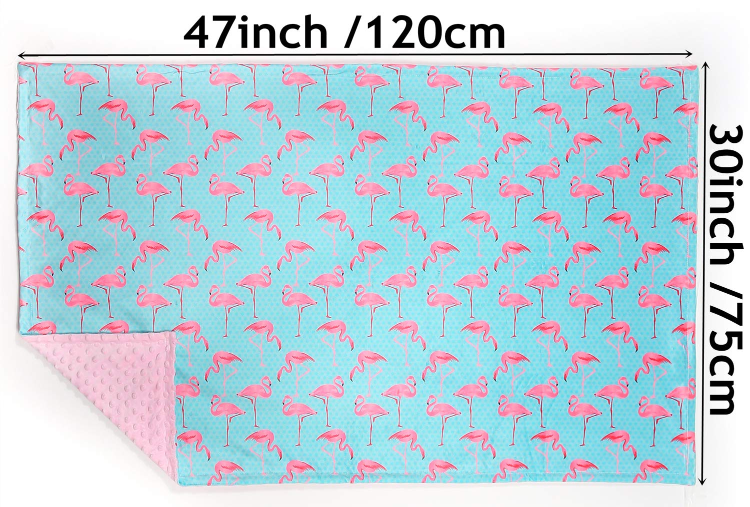 Super Soft Baby Blanket - Double Layer Minky Blanket with Dotted Backing, Pink Flamingo Design, 30 x 47 Inch | Perfect for Newborns, Nursery, Stroller, Toddler Crib Bedding | Ideal for Boys & Girls | Cozy Security Blanket for Sleeping, Travel & Playtime