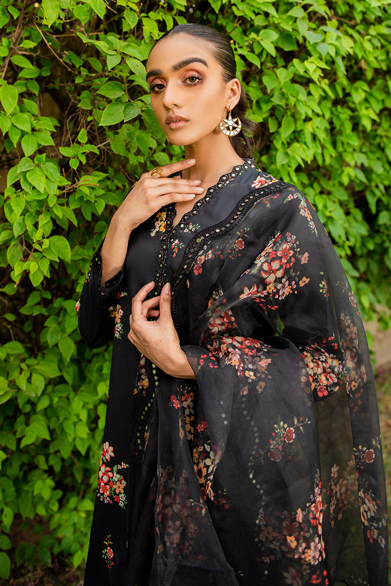 Stylish AQS E DASHT 2PC Set - Women's Elegant Shirt & Dupatta Combo for Parties, Weddings & Special Occasions | Perfect for Festive Wear & Cultural Events