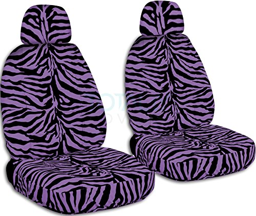 Purple Zebra