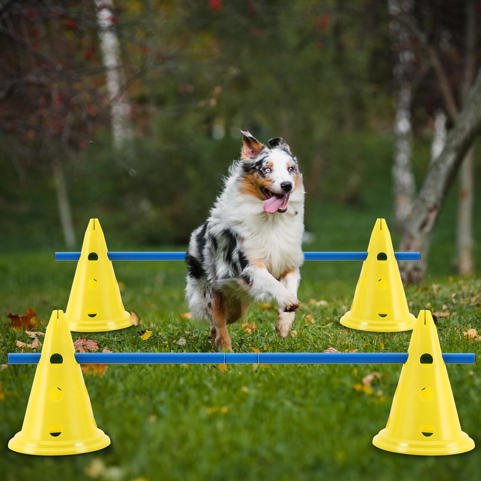 **Dog Agility Training Set - 12 Cones & 6 Adjustable Rods for Backyard Obstacle Course | Outdoor Pet Exercise Equipment (Yellow & Blue) - Perfect for Backyard Training, Dog Sports & Fun Playtime**