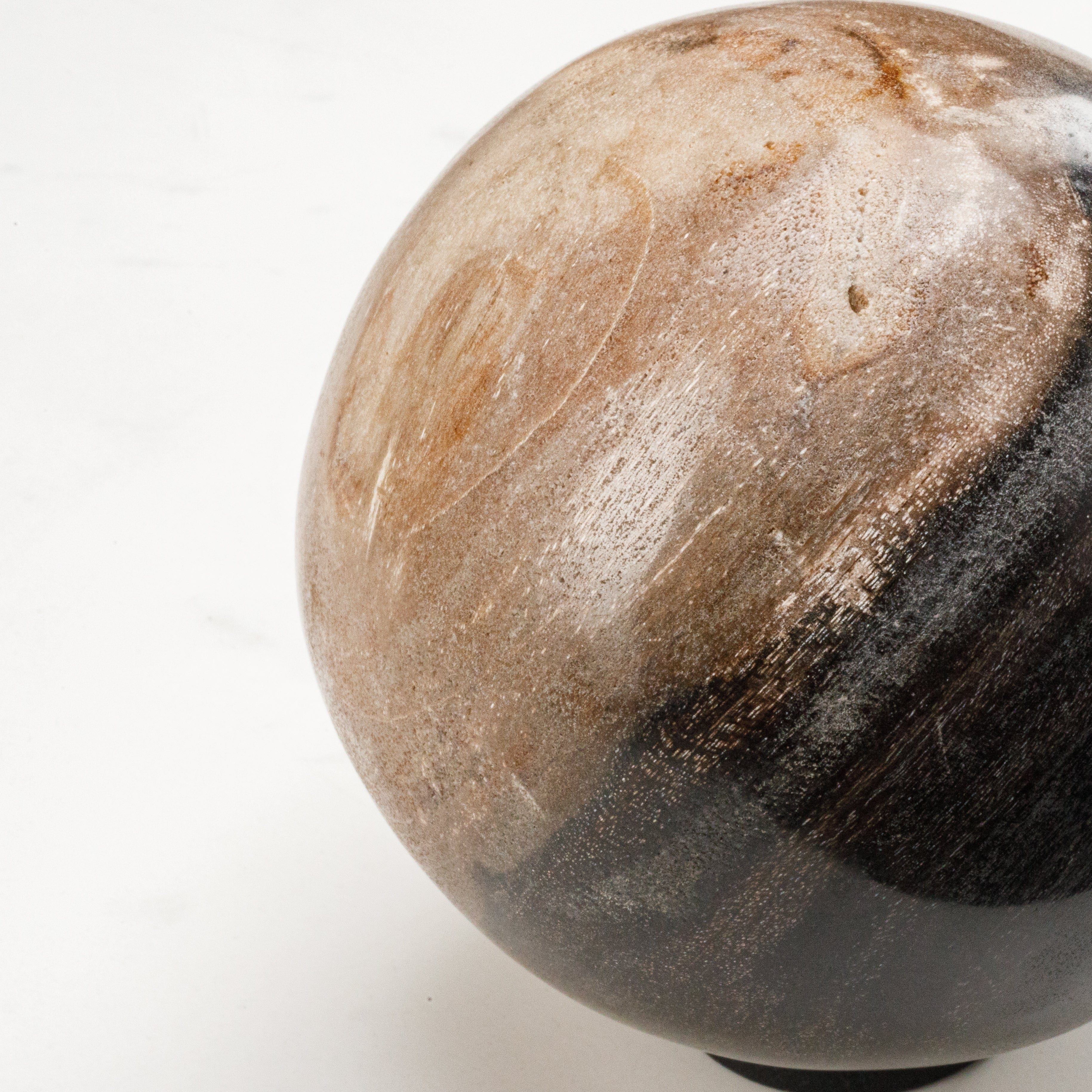 Natural Petrified Wood Sphere - 5