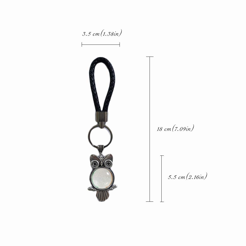 Argentina Flag Keychain with Owl Pendant - Patriotic Souvenir Gift Key Ring for Men & Women - Perfect for Travel, Gifts, and Key Organization