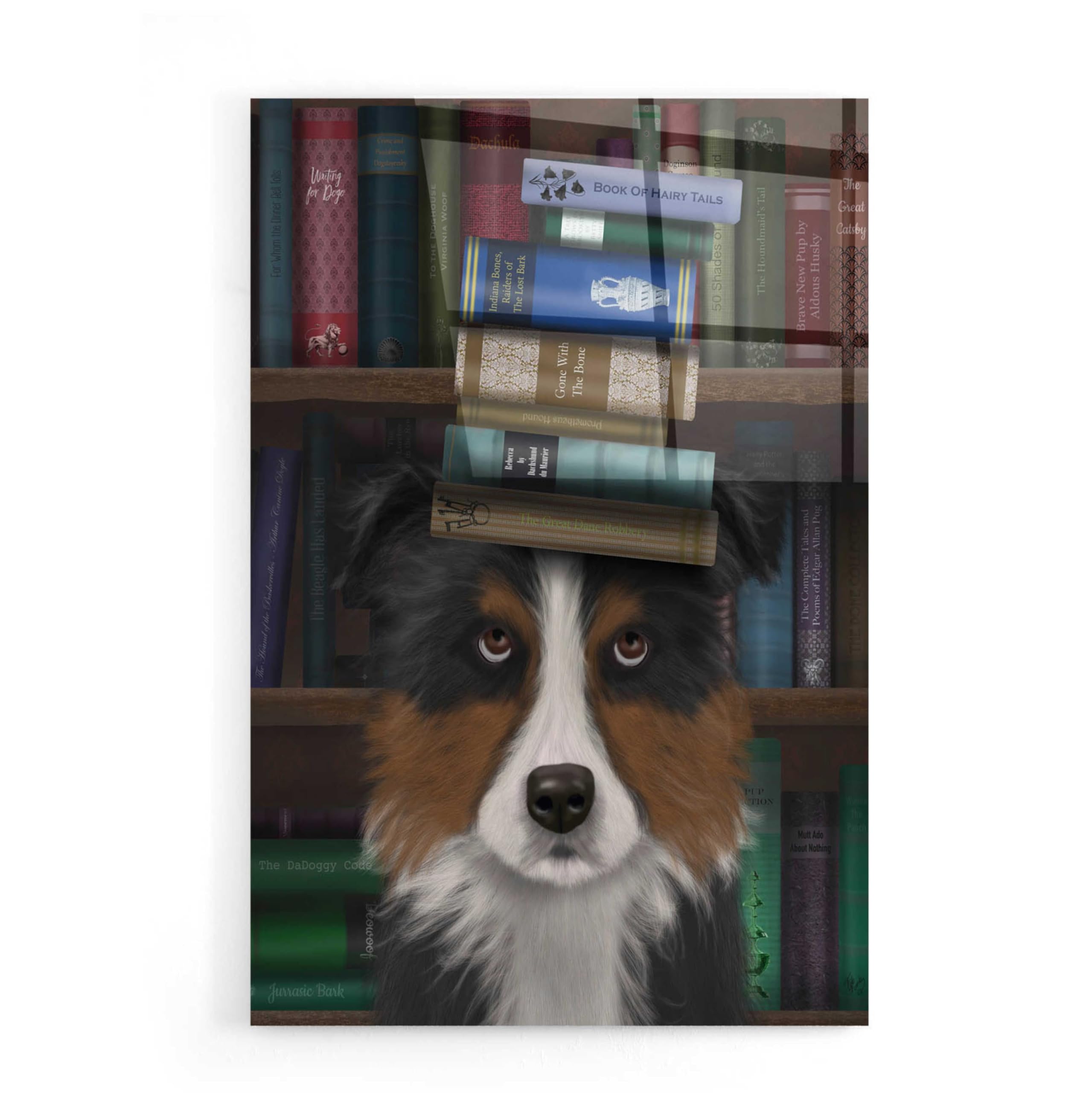 Fab Funky Border Collie Tricolour and Books Acrylic Glass Wall Art - 16x24 Inches - Modern Home Decor for Living Room, Office & Bedroom