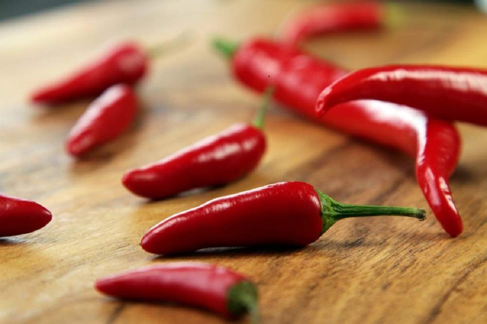 Cool Beans N Sprouts Cayenne Pepper Seeds - 50 Count Pack for Home Gardening, Indoor & Outdoor Planting, Spicy Cooking & DIY Herb Gardens