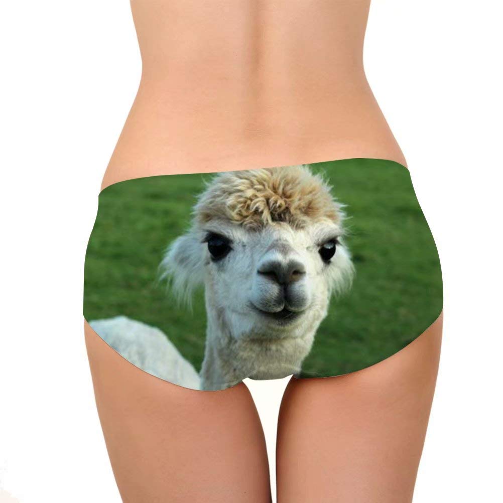 Sexy Funny Women's Underwear Briefs - Breathable Cotton Hipster Panties for Bachelorette Party & Girls Night Out - Comfortable Lingerie for Bridal Shower, Vacation & Special Occasions