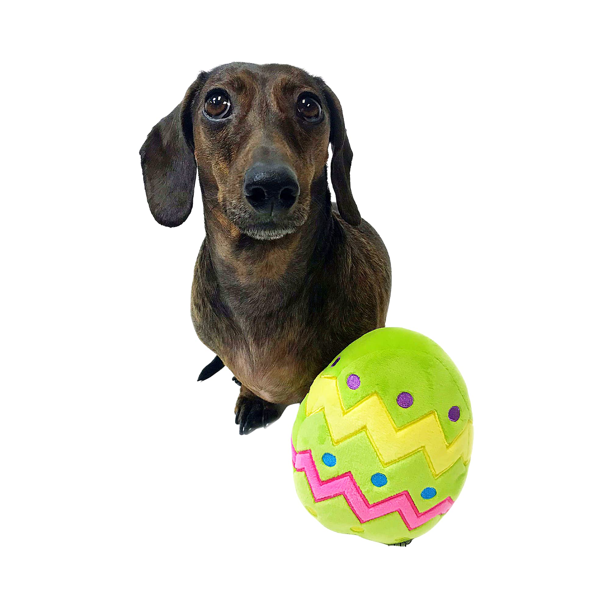 Midlee Plush Easter Egg Dog Toy with Squeaker - Large Green Chew Toy for Small & Medium Dogs - Perfect for Easter Gifts, Training Rewards & Playtime Fun