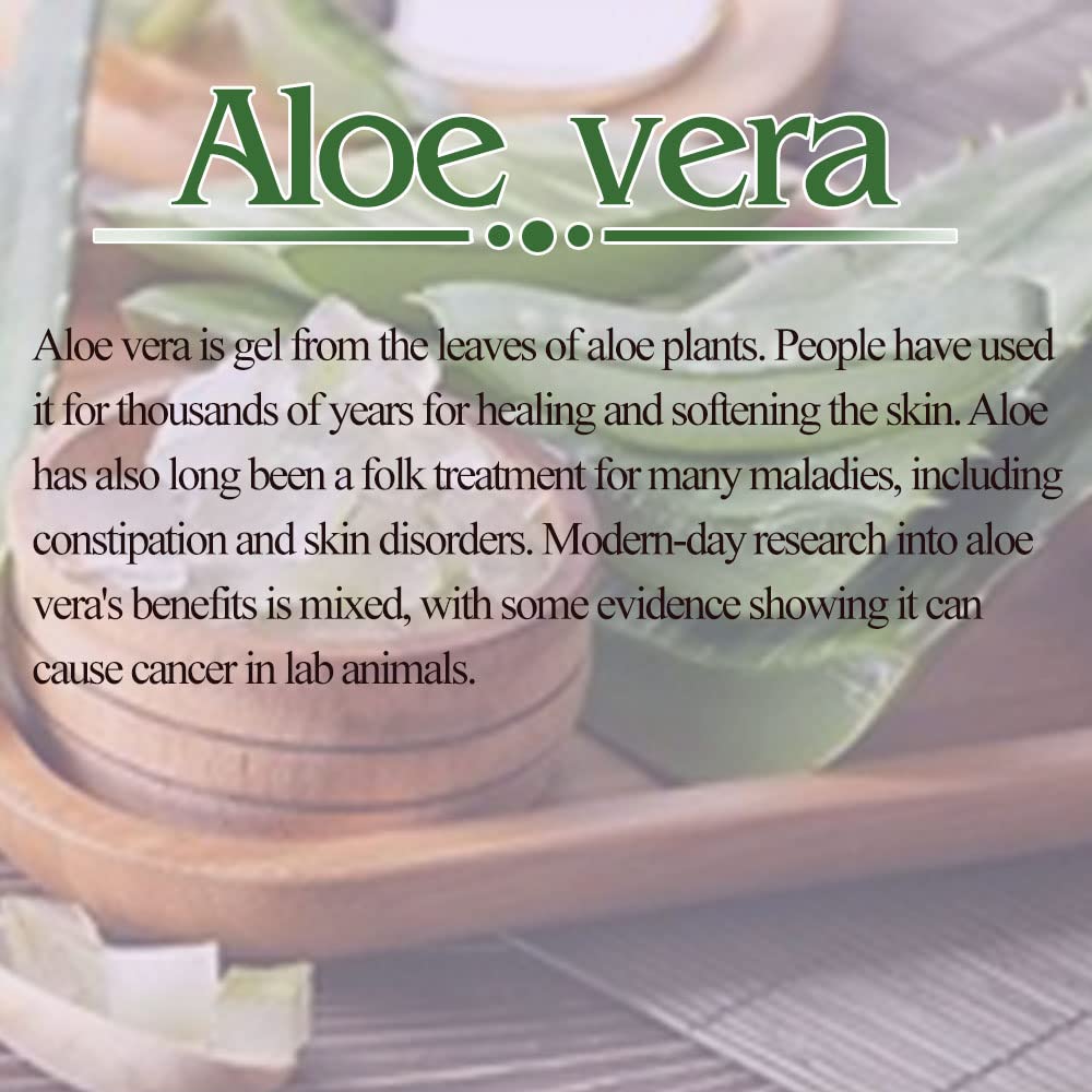 Organic Aloe Vera Gel (Pack of 3) - 100% Natural Multipurpose Beauty Gel for Skin, Hair & Sunburn Relief | Hydrating & Soothing for Face, Body & Scalp | Perfect for After Sun Care, Moisturizing & Hair Treatment