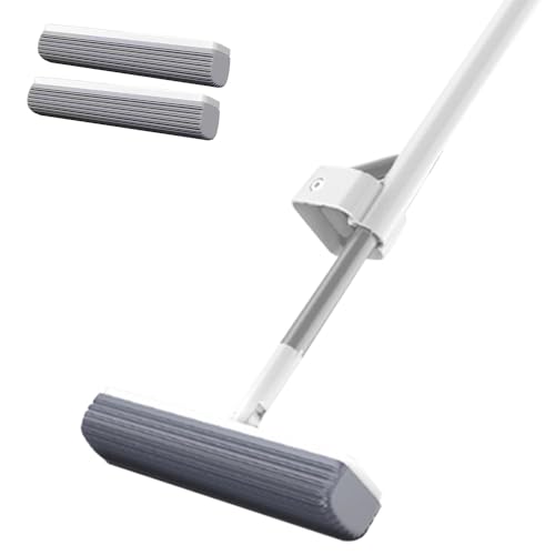 Mop, With 2 Sponge Heads