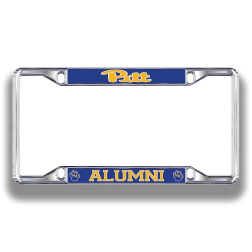 Pittsburgh Panthers Silver
