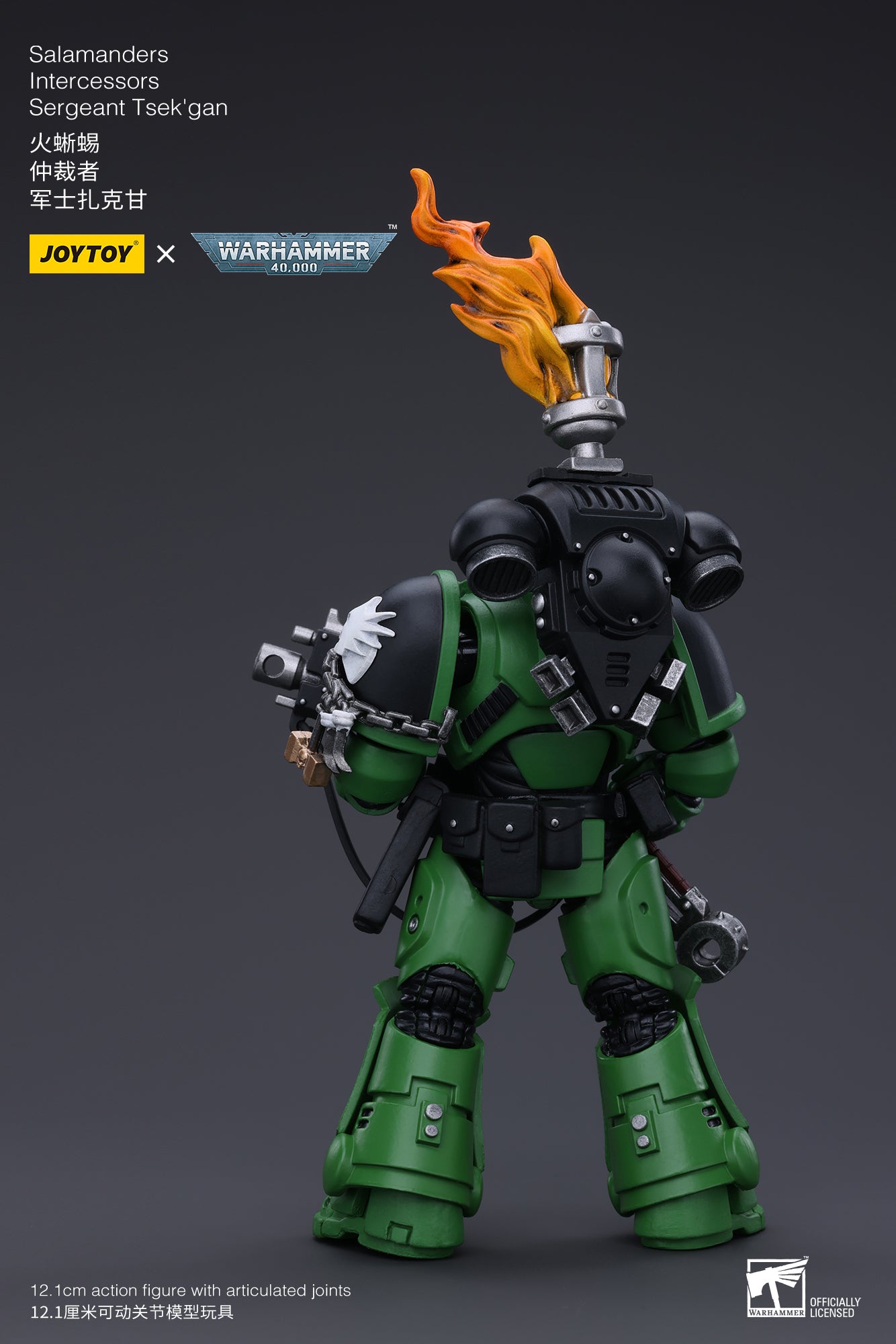 JOYTOY 3.75 Inch Warhammer 40K Salamanders Intercessors Sergeant Tsek'gan Action Figure - 1/18 Scale Collectible Model for Display & Gaming (Reissue Version) | Perfect for Warhammer Fans, Tabletop Battles & Sci-Fi Collectors