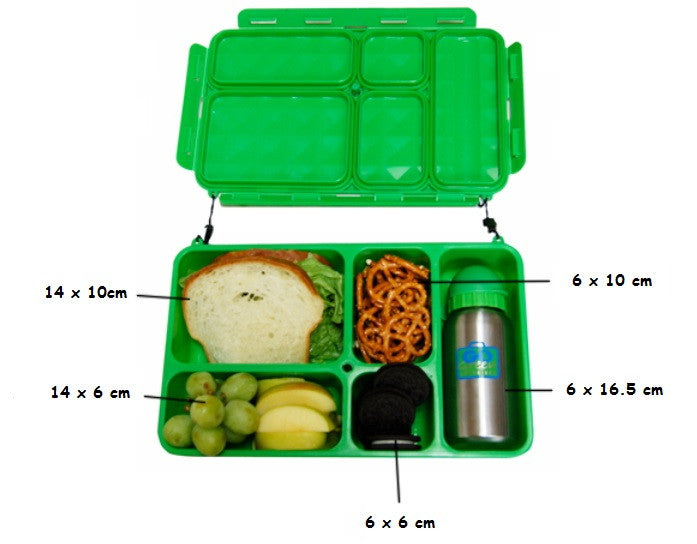 Eco-Friendly Reusable Lunch Box - Black Stallion Design with Green Container | Perfect for School, Office & Picnics