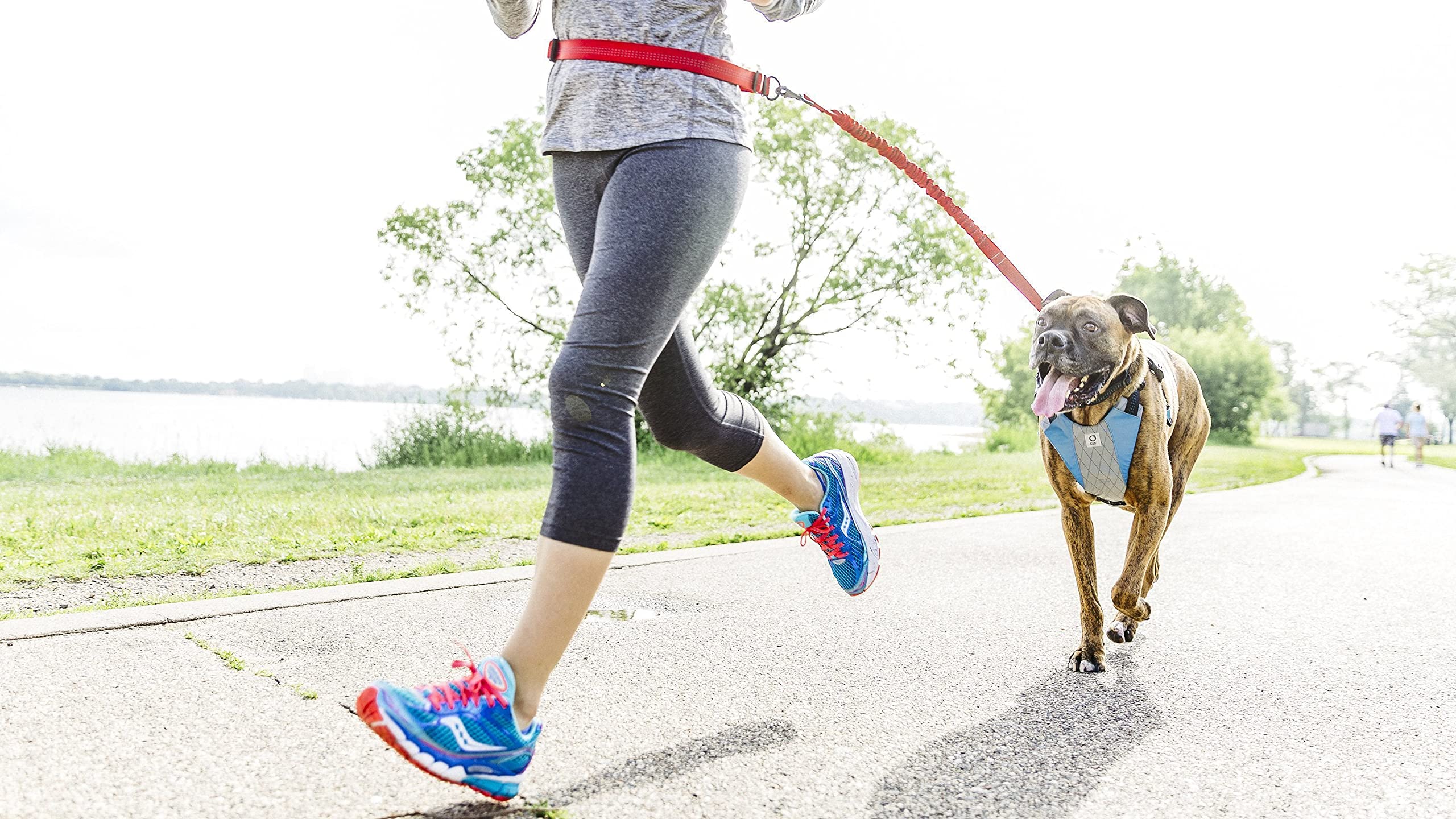 Go Dog Glo Reflective Dog Harness - Medium Size, Grey - Perfect for Night Walks, Jogging & Outdoor Adventures